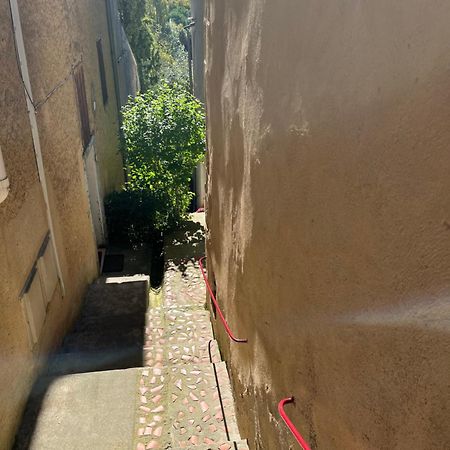Le Tapis Vert - Loft Avec Jardin Auch Dış mekan fotoğraf