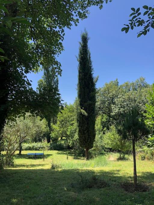 Le Tapis Vert - Loft Avec Jardin Auch Dış mekan fotoğraf